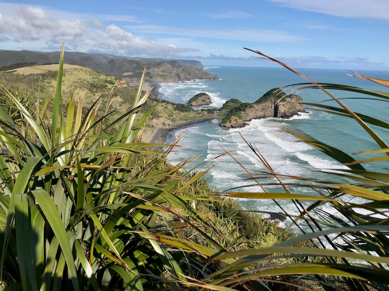 Bethells Beach coastline